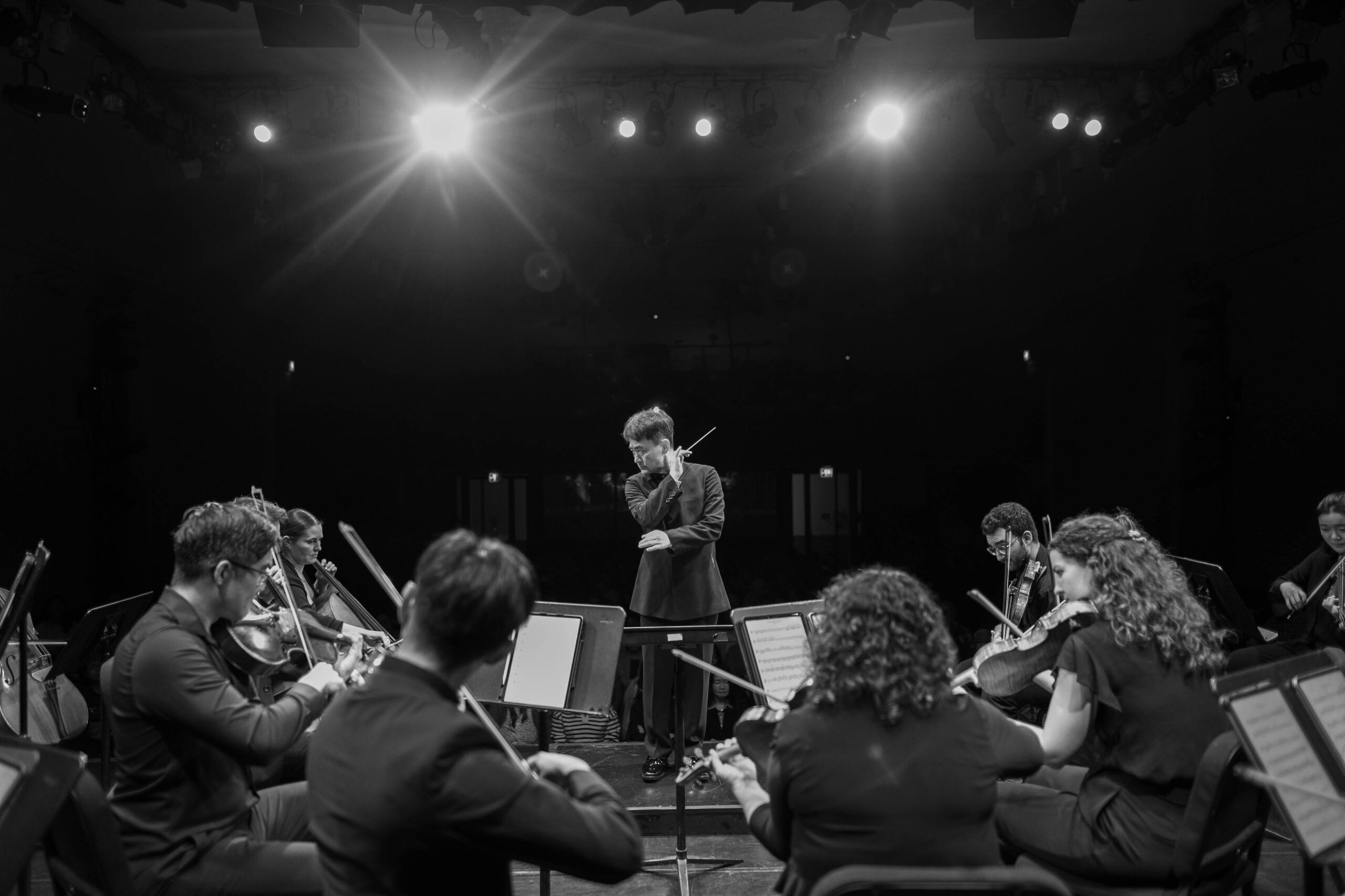 Brahms and Puts